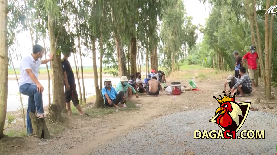 Công an huyện U Minh Thượng triệt xóa tụ điểm đá gà ăn tiên trong mùa dịch 21/9/2021 - DAGAC1.COM - Đá gà trực tiếp
