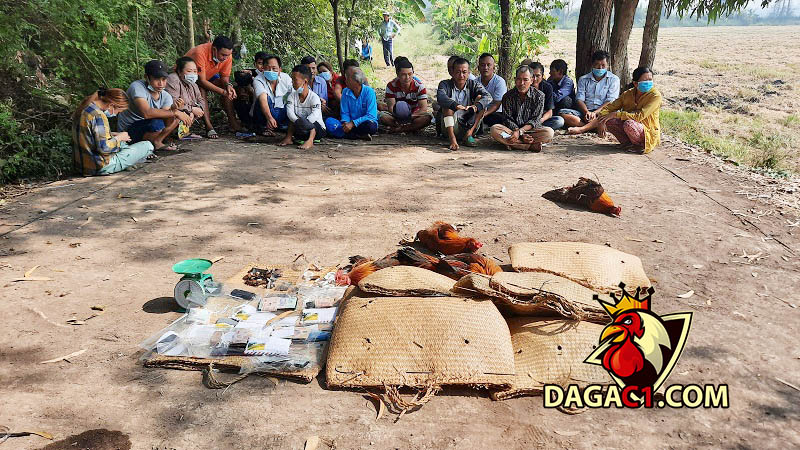 Bắt quả tang 22 đối tượng đang có hành vi đá gà ăn thua bằng tiền 2/10/2021DAGAC1.COM - Đá gà trực tiếp