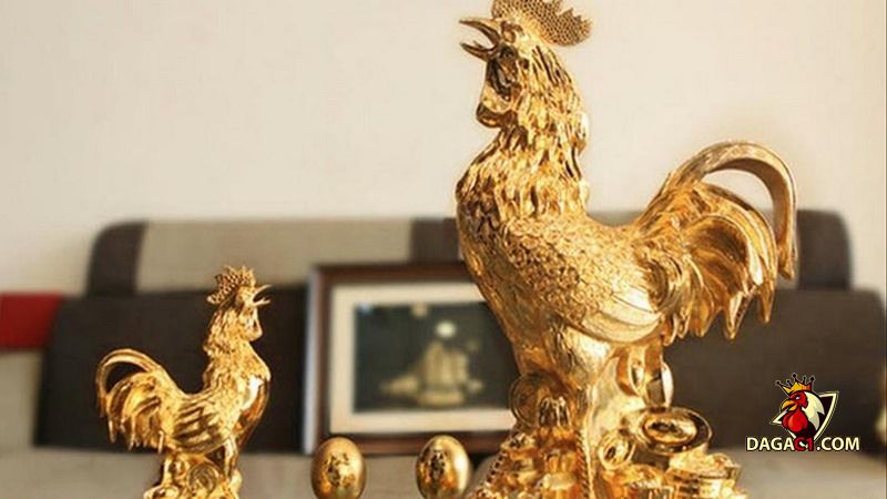 gà phong thủy hôm nay
