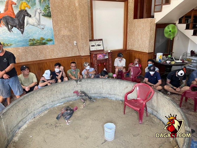 Quy mô hoạt động của những con bạc vi phạm pháp luật ngày càng tinh vi