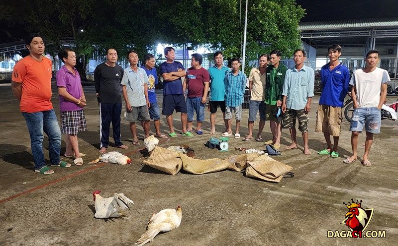 Tình hình hoạt động vi phạm pháp luật trên địa bàn tỉnh Vĩnh Long ngày càng gia tăng