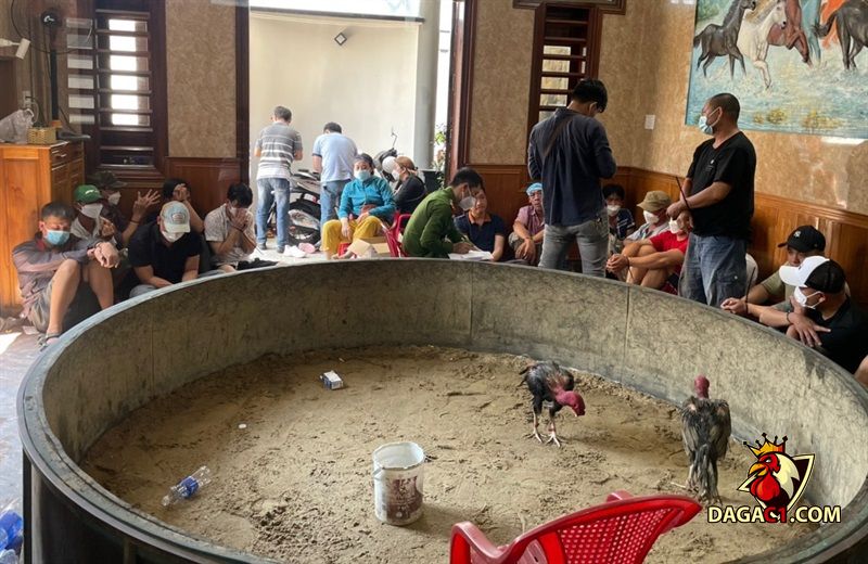 Diễn biến quá trình đột kích vây bắt thành công các con bạc
